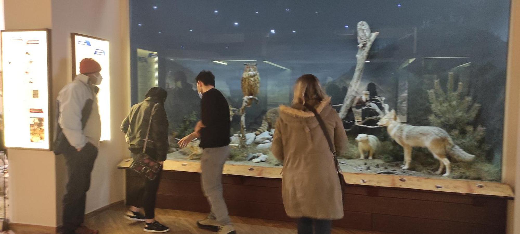 Tsikaris Boutique Guesthouse カランバカ エクステリア 写真